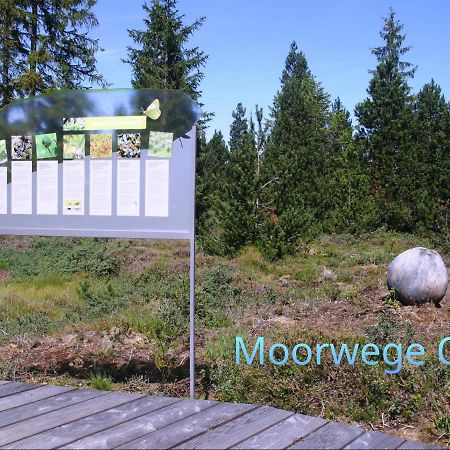 Ferienwohnung Schoene Auszeit Oy-Mittelberg Exteriér fotografie